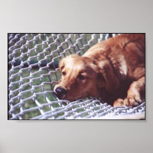 Affiches Un jour d'or