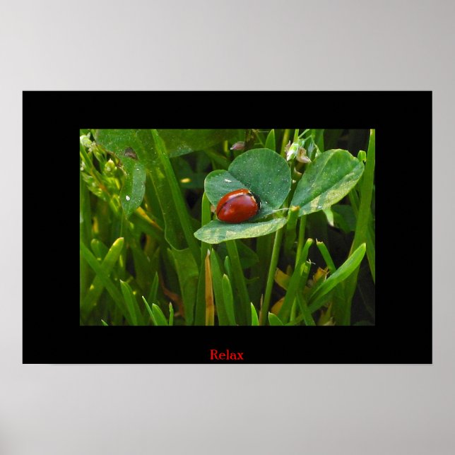 Affiches Un jour heureux de St. Patricks (Devant)