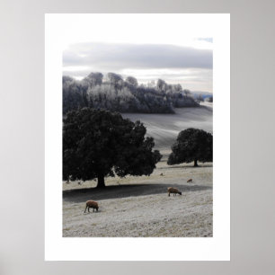 Affiches Un matin glacé