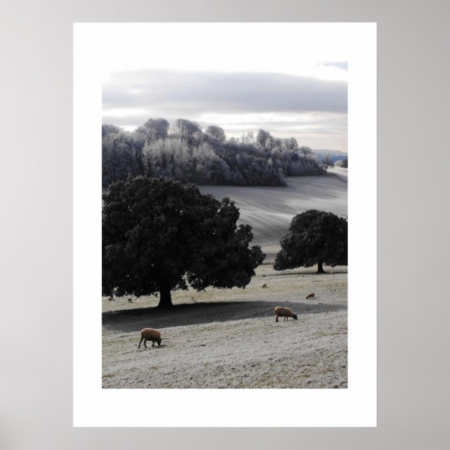 Affiches Un matin glacé (Devant)