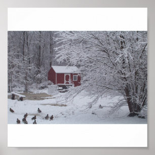 Affiches Un Noël canard