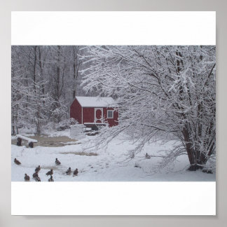 Affiches Un Noël canard