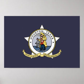 Affiches Un nouveau drapeau pour Houston