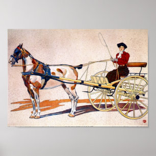 Affiches Un panier à casser du Kentucky