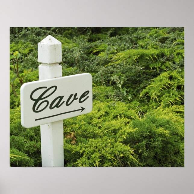 Affiches Un panneau indiquant la cave à vin (Cave) à (Devant)