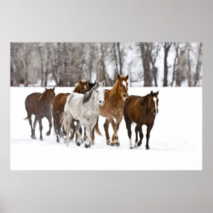 Affiches Un paysage hivernal de course