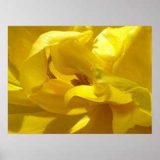 Affiches Un petit coup