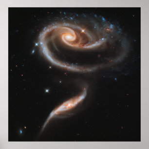 Affiches Un Rose en galaxies, ARP 273 [Imprimer]