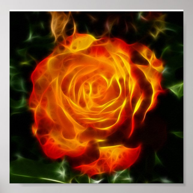 Affiches Un Rose magnifique en feu (Devant)