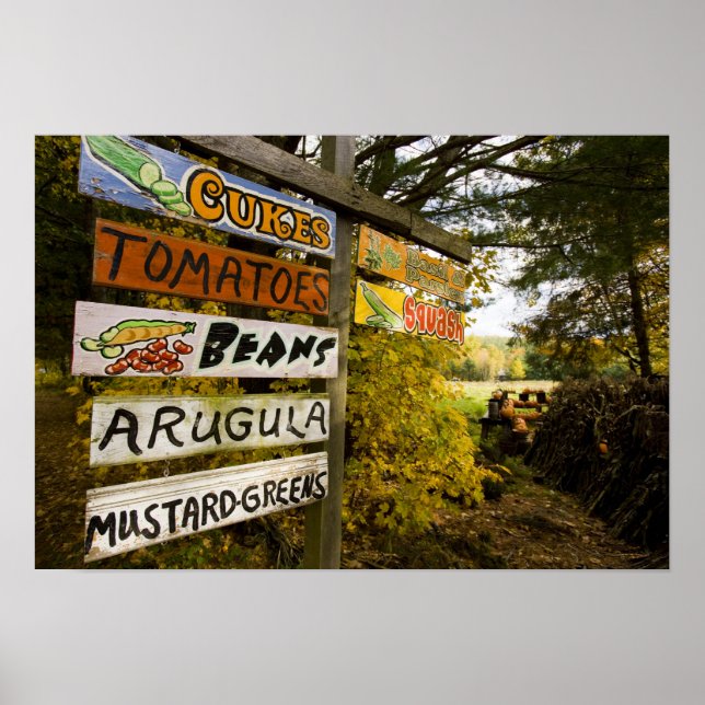 Affiches Un stand de ferme à Holderness, New Hampshire. (Devant)