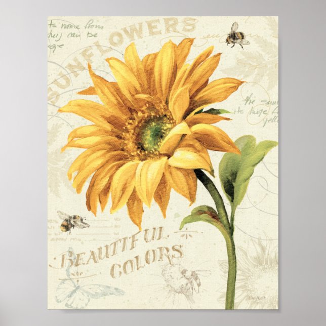 Affiches Un tournesol en pleine floraison (Devant)