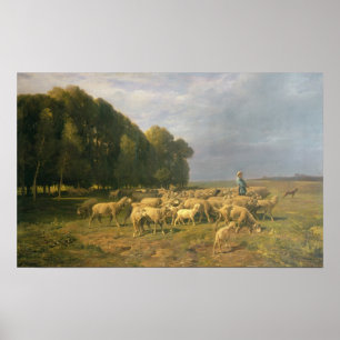 Affiches Un troupeau de moutons dans un paysage