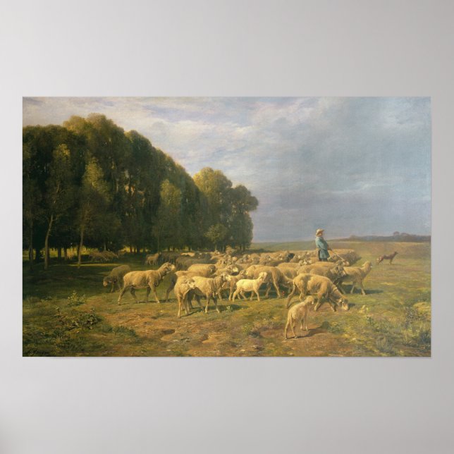 Affiches Un troupeau de moutons dans un paysage (Devant)