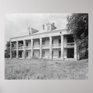 Affiches Uncle Sam Plantation
