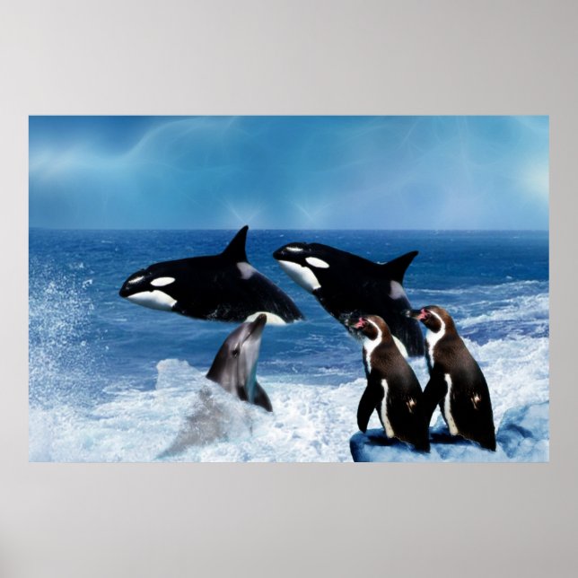 Affiches Une baleine d'un monde (Devant)