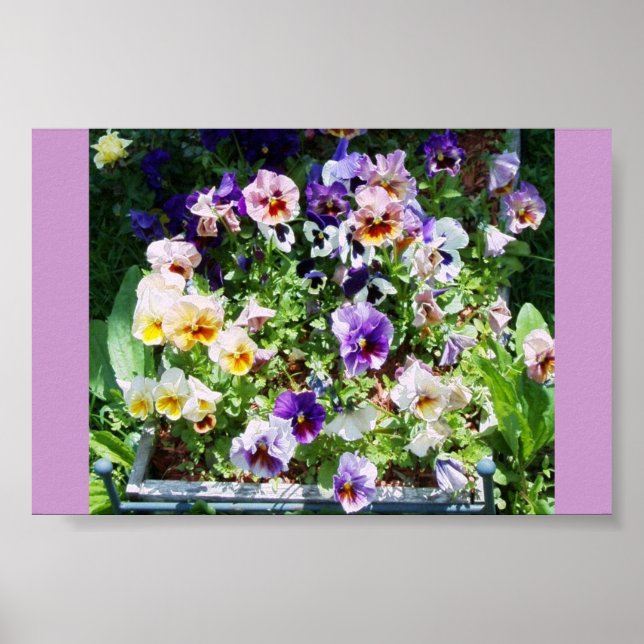 AFFICHES UNE ÉPAISSE DE COULEUR (Devant)