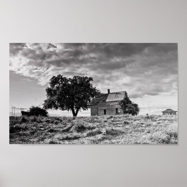 Affiches Une fois beauté (Devant)