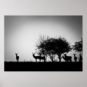 Affiches Une image de cerfs dans la brume matinale