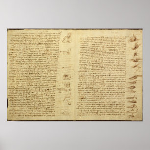 Affiches Une page du codex Leicester, 1508-12