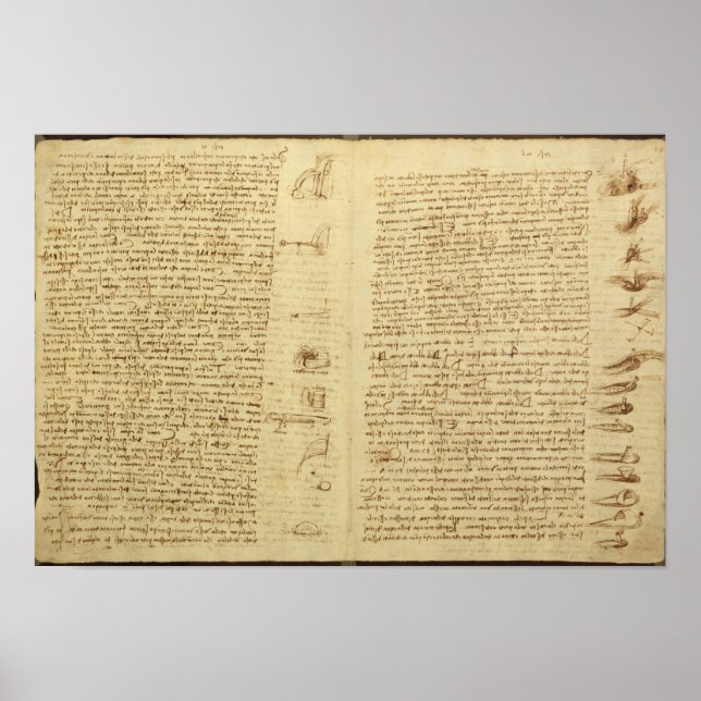 Affiches Une page du Codex Leicester, 1508-12 (Devant)