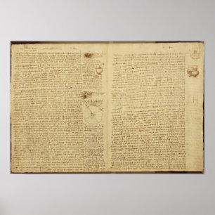 Affiches Une page du Codex Leicester, 1508-12