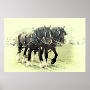 AFFICHES UNE PAIRE D'AFFICHE DE SHIRES