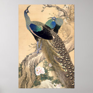 Affiches Une paire de paons au printemps 1901 Art japonais