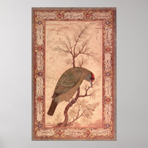Affiches Une période de Barbet Jahangir, Mughal, 1615