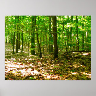 Affiches Une perspective de chien