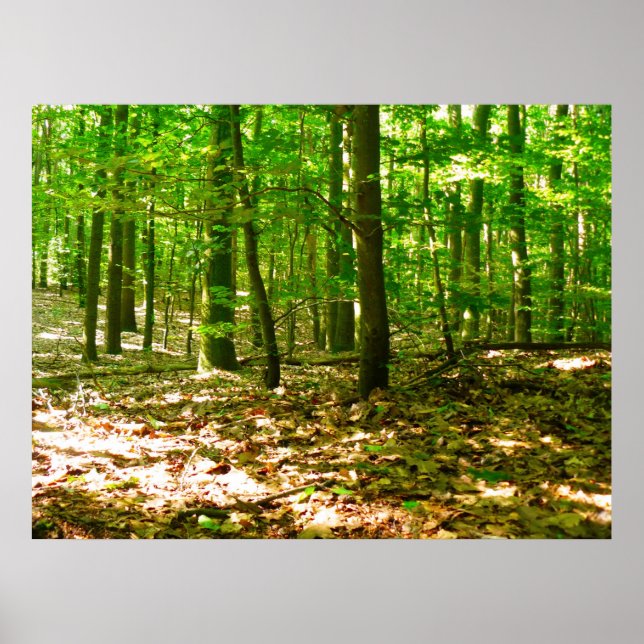 Affiches Une perspective de chien (Devant)