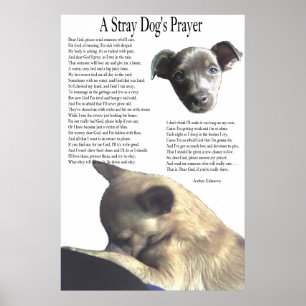 Affiches Une prière de chien égaré (couleur alternative