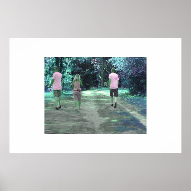 Affiches Une Promenade À Remeber (Devant)