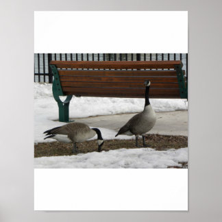 Affiches Une promenade dans le parc