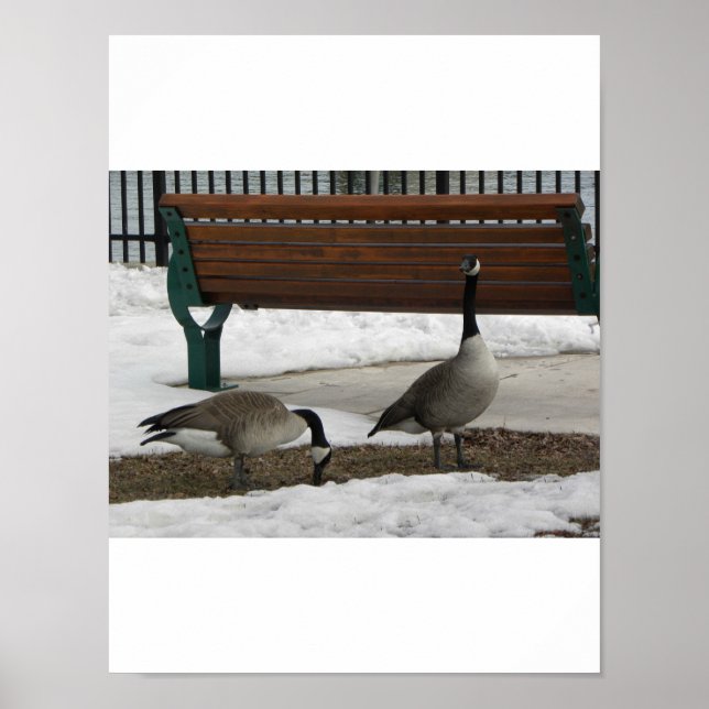Affiches Une promenade dans le parc (Devant)