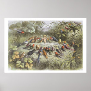 Affiches Une répétition en terre fée, illustration de "In F