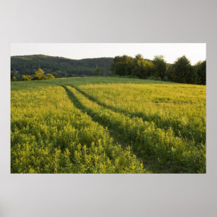 Affiches Une route agricole dans Sabins Pasture à Montpelie