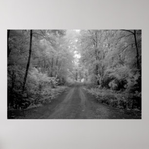 Affiches Une route rurale