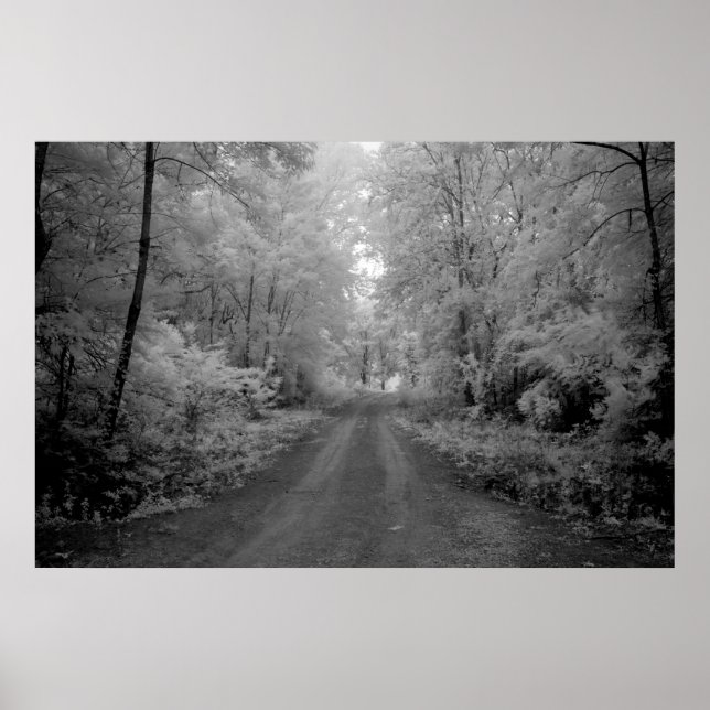 Affiches Une route rurale (Devant)
