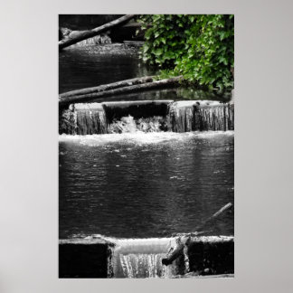 Affiches Une touche de vert