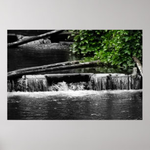 Affiches Une touche de vert