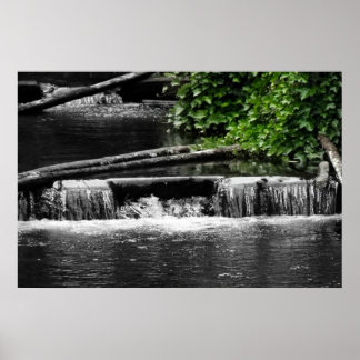 Affiches Une touche de vert