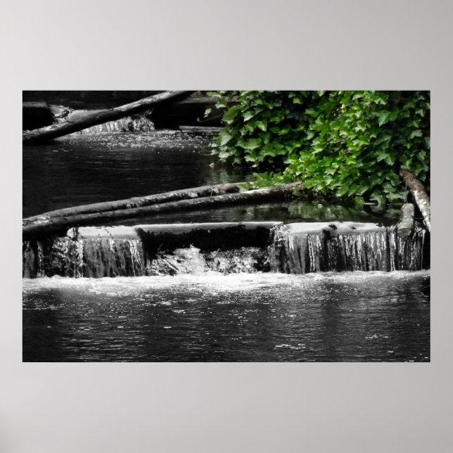 Affiches Une touche de vert (Devant)