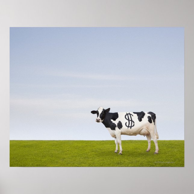 Affiches Une vache laitière Holstein avec des taches en for (Devant)