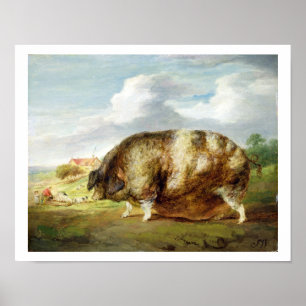 Affiches Une vieille tache de Gloucestershire (huile sur le