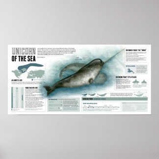 Affiches Unicorne de la mer