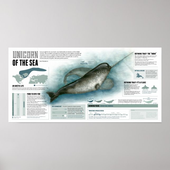 Affiches Unicorne de la mer (Devant)