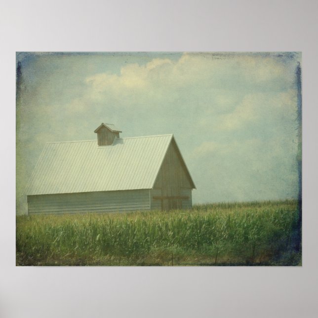 Affiches Uniquement du maïs pour l'entreprise (Devant)