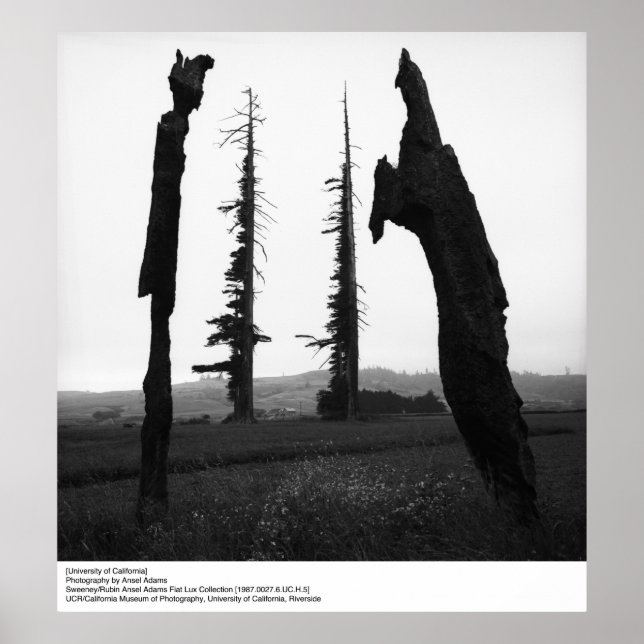 Affiches Université de Californie par Ansel Adams (Devant)