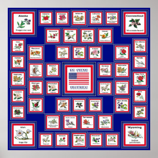 AFFICHES USA 50 FLEURS D'ÉTAT BLEU/558