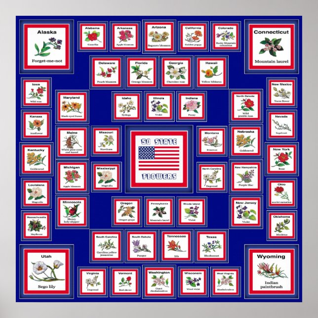 AFFICHES USA 50 FLEURS D'ÉTAT BLEU/558 (Devant)